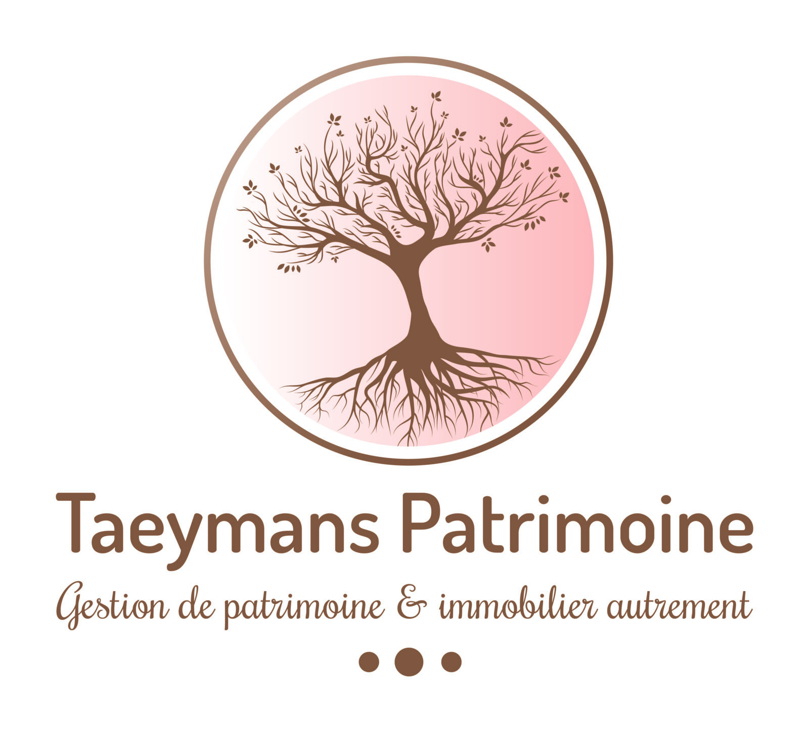 Logo Taeymans Patrimoine